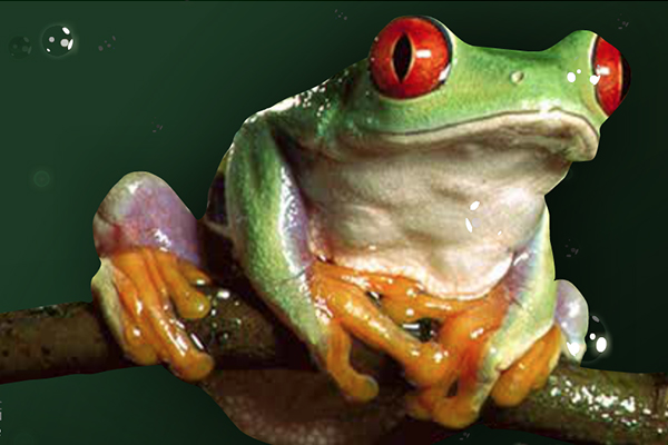 Sky online richmedia banner